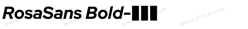 RosaSans Bold字体转换